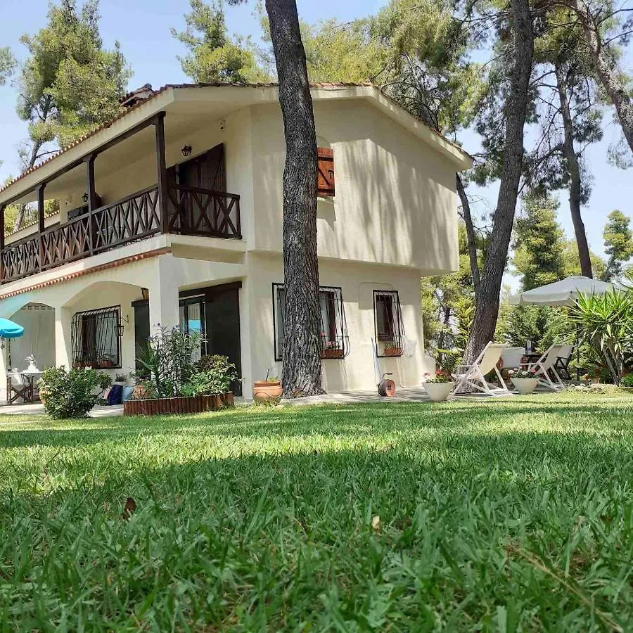 Sani Villa Of Traditional Architecture