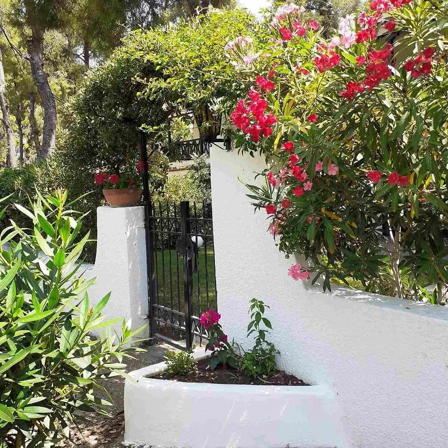 Sani Villa Of Traditional Architecture