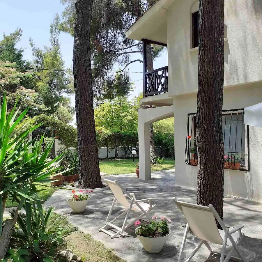 Sani Villa Of Traditional Architecture